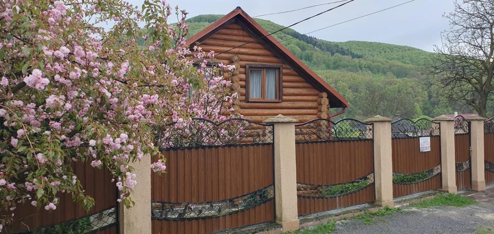 Smerekovyi Dvir Поляна Экстерьер фото
